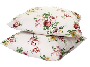 pillows-white-background-removebg-preview 2 (1)