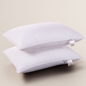 Set of 2 Pillows